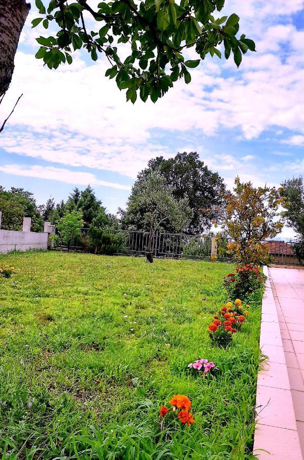 Villa Markic Drvenik  Exteriör bild